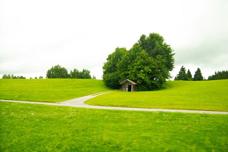 穏やかな自然の風景